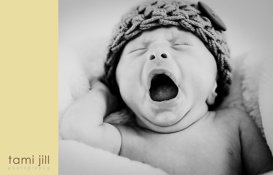 DSC_4438-yawn-new