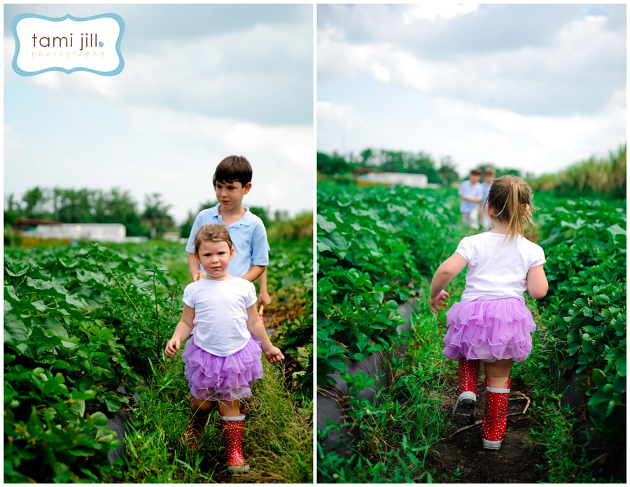 Girl runs through the grass Bedner's Farm in South Florida.